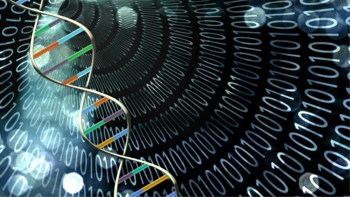 Bilim İnsanları, Yeniden Programlanabilir Dna Tabanlı Bir Bilgisayar Oluşturmayı Başardı