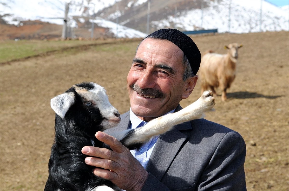 Bingöllü Çobana "Koyunlarla İmtihanı" Ün Getirdi