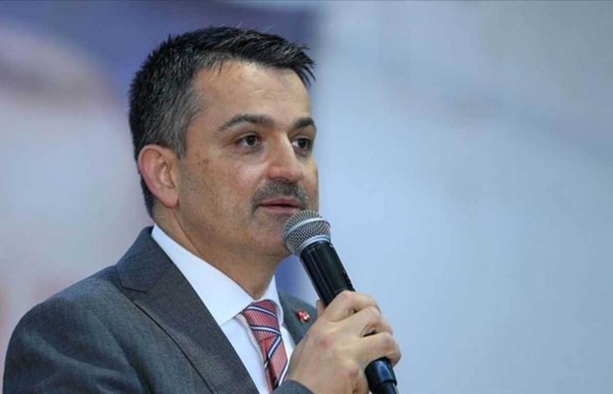 Manda desteği ödemeleri yarın başlıyor