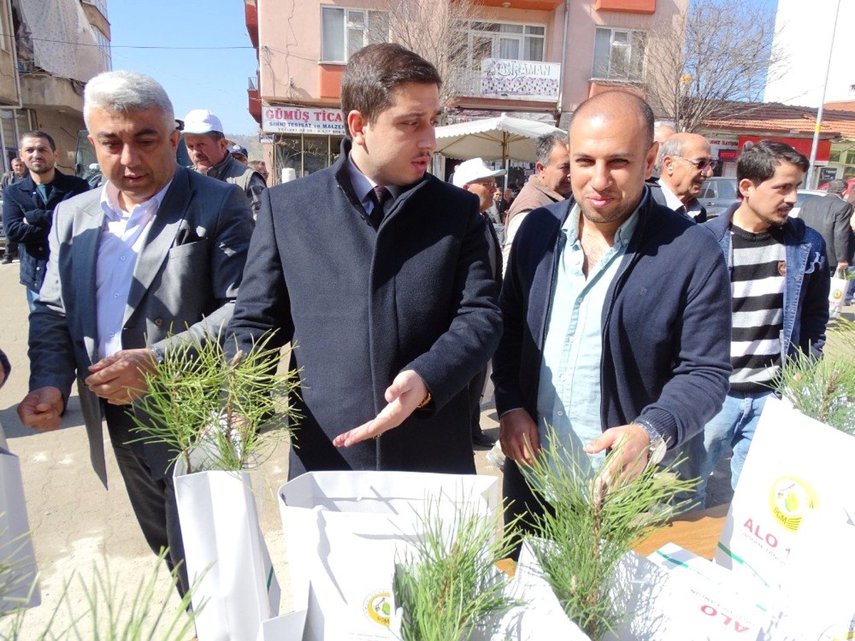 Hisarcık\'ta Orman Haftasında 3 Bin 500 Fidan Dağıtıldı