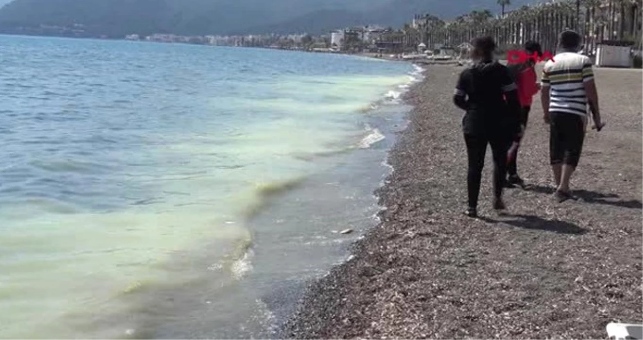 Marmaris\'te Deniz Sarıya Boyandı, Gören Belediyeyi Aradı!