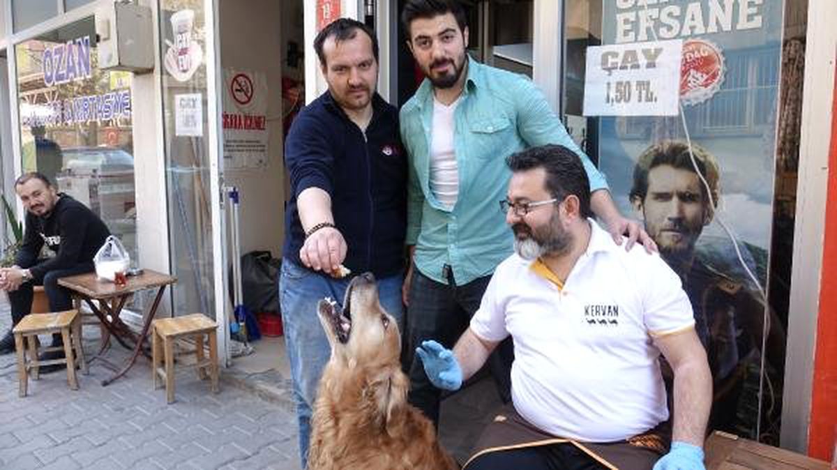 Söylenen Sayı Kadar Havlayıp, Yiyeceği Alıyor