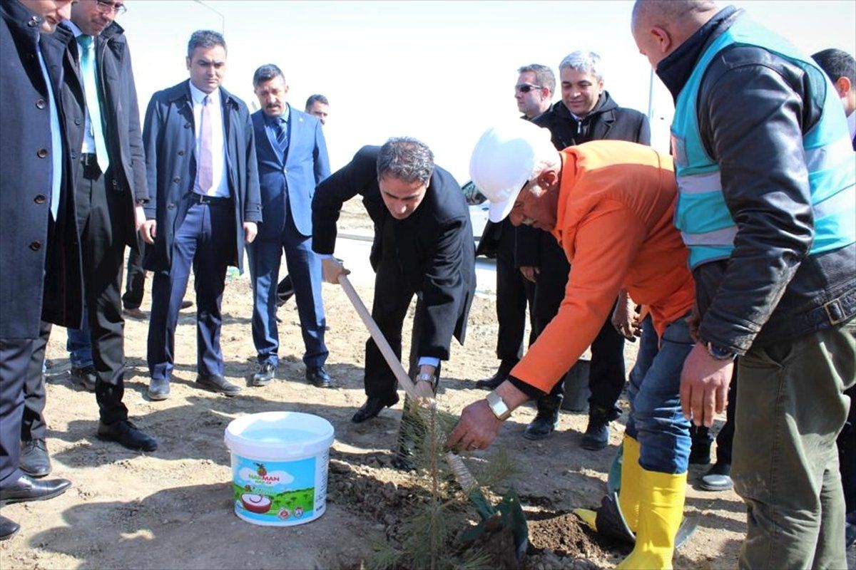 Van\'da "Adalet Ormanı"Nda Fidan Dikimine Başlandı