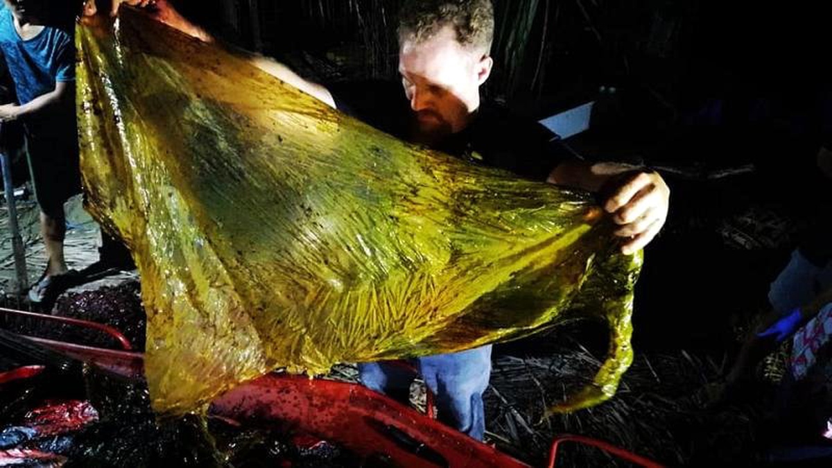 Video: Filipinler\'de Karaya Vuran Balinanın Midesinden 40 Kg Plastik Çıktı