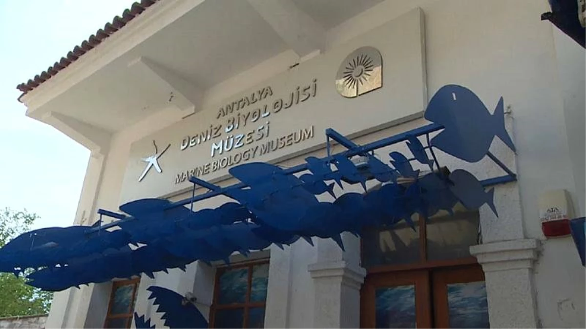 Video | Türkiye\'nin İlk Deniz Biyoloji Müzesi Antalya\'da Ziyaretçilerini Ağırlıyor