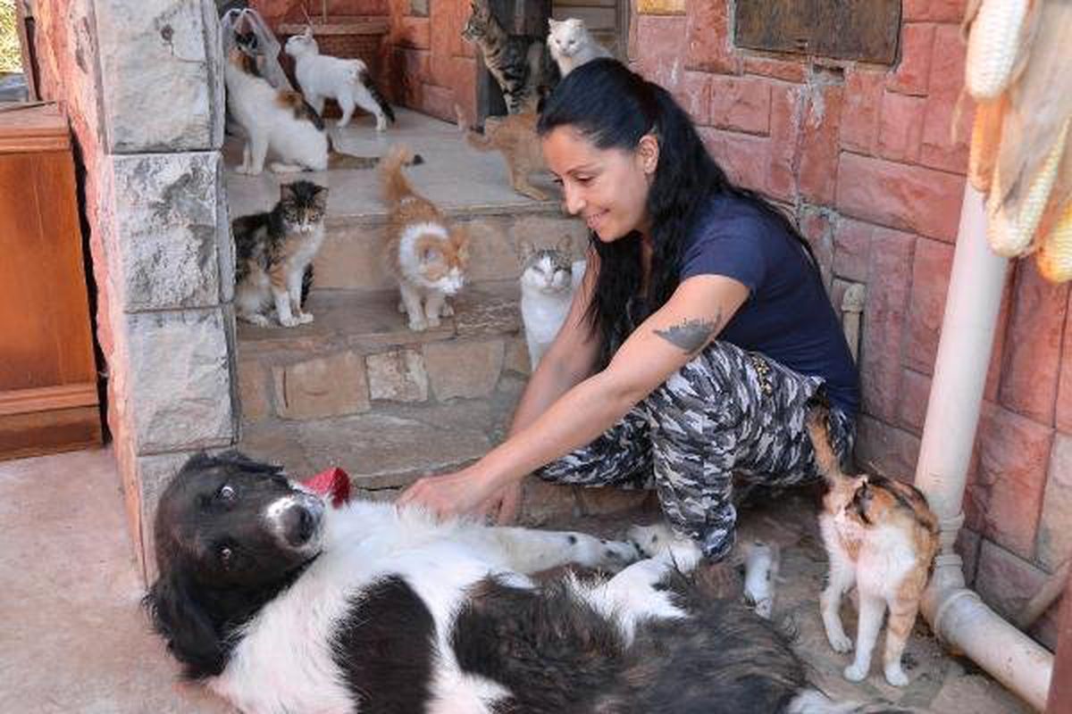 Evinde 75 Kedi Besliyor