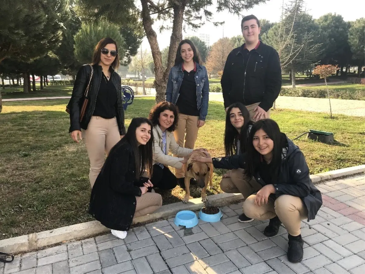 Harçlıklarından Arttırdıkları Paralarla Sokak Hayvanlarına Mama Aldılar