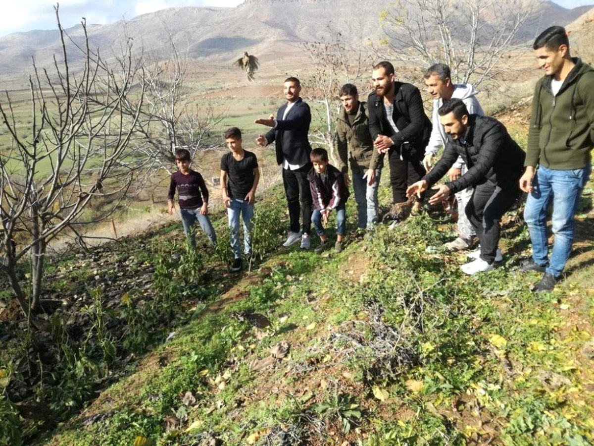 Nesli Tükenmekte Olan Turaç ve Sülünleri Yetiştirip Doğaya Salıyor