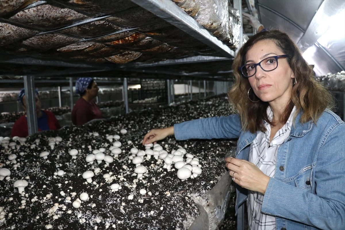 Oğlunun Borcu İçin Yaptırdığı Gelir Testi, Tesise Dönüştü