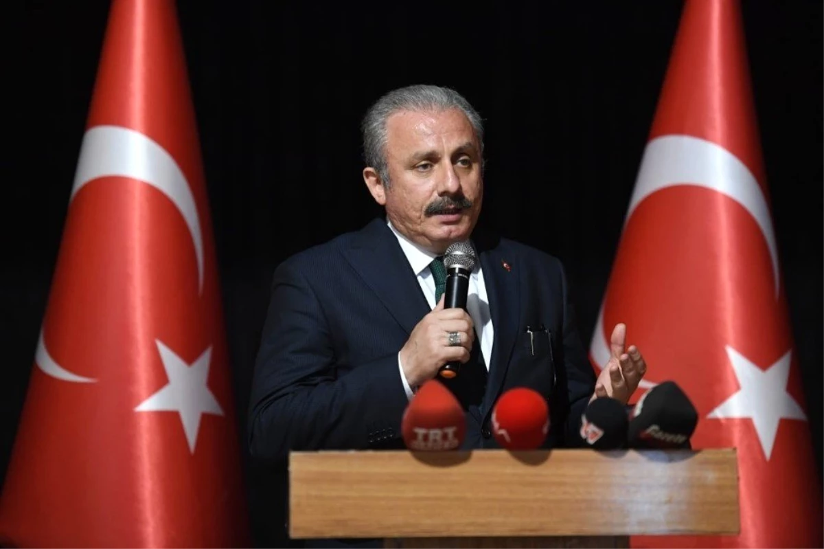 TBMM Başkanı Şentop: "Türkiye Dışarıdan Hizaya Sokulacak Bir Ülke Değil"