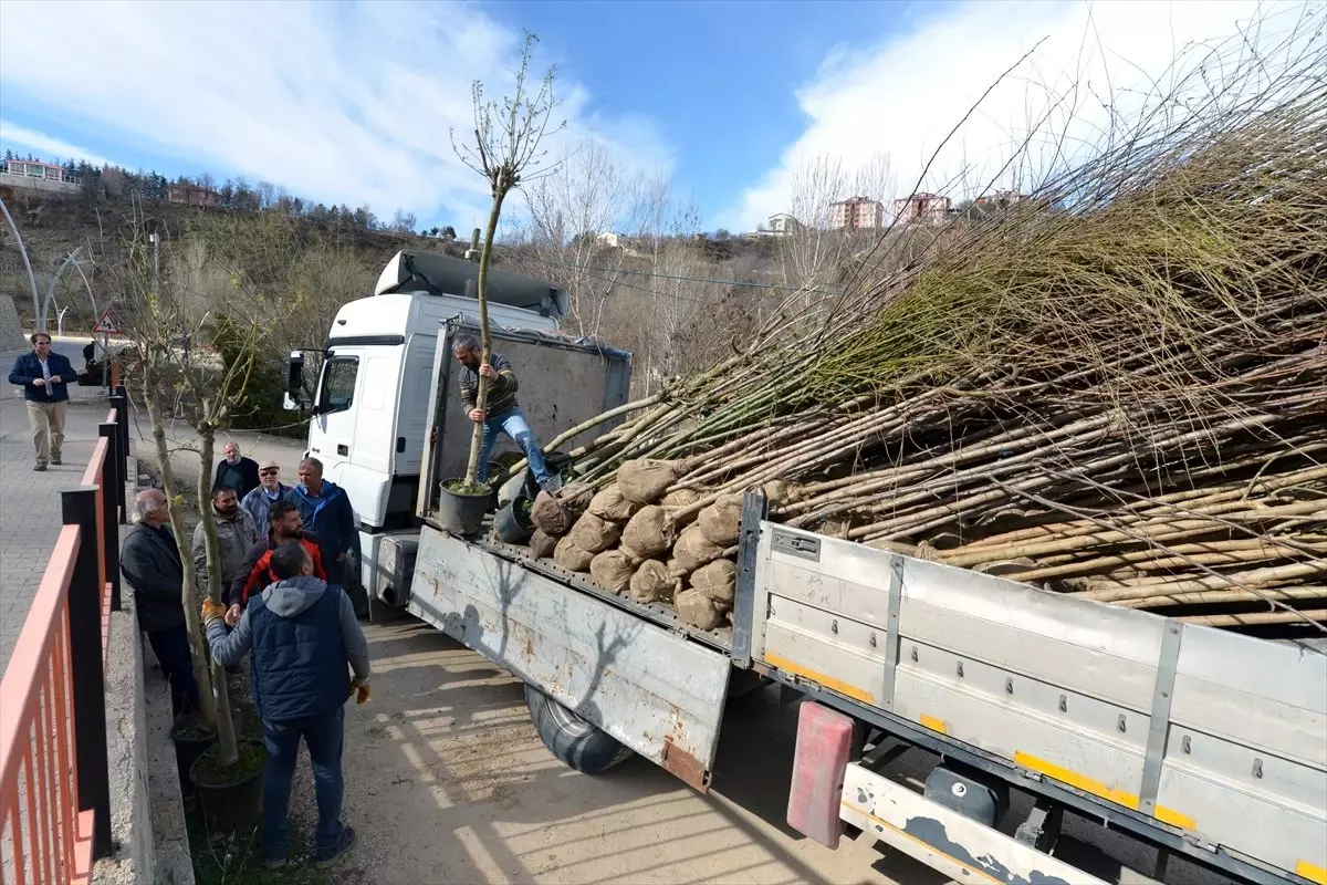 Tunceli\'nin Fidanları Bursa\'dan Getiriliyor