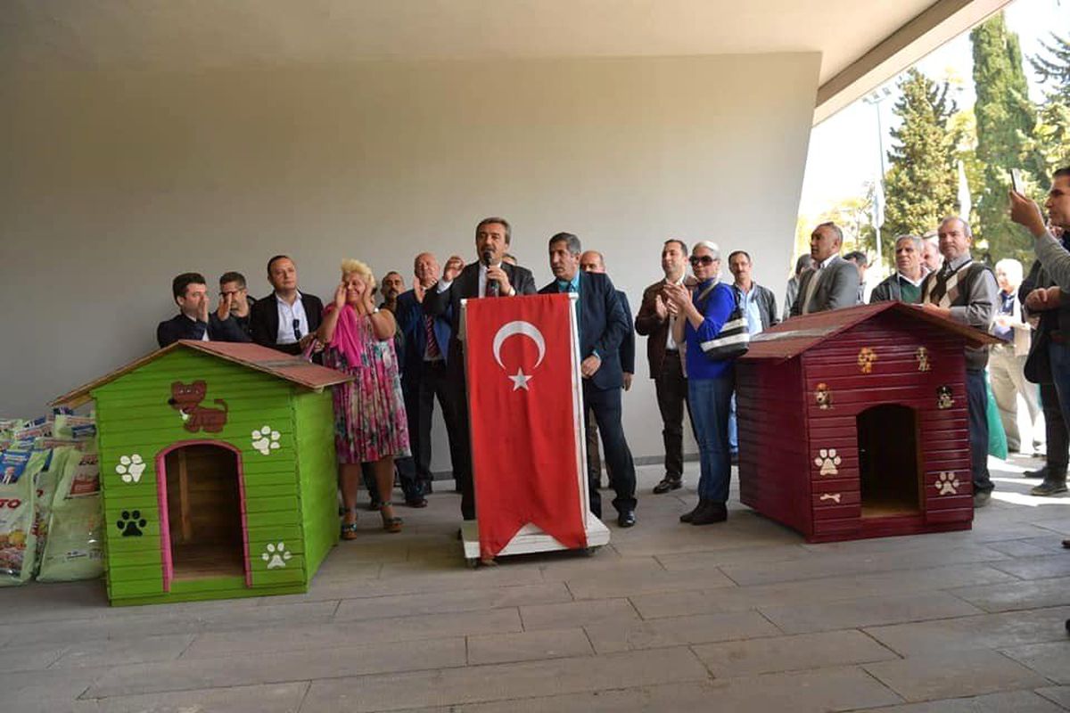 Çukurova\'ya Kedi Parkı