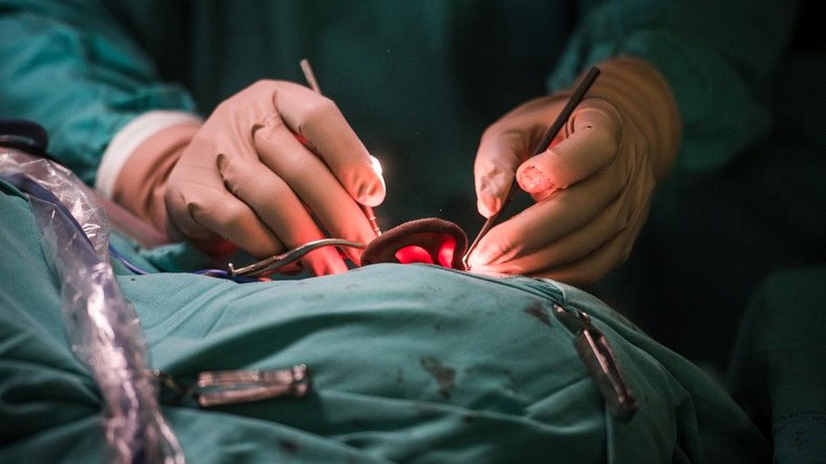 Devrim Niteliğinde Operasyon: 3d Baskı Yöntemiyle Sağırlık Tedavisi Mümkün Oldu