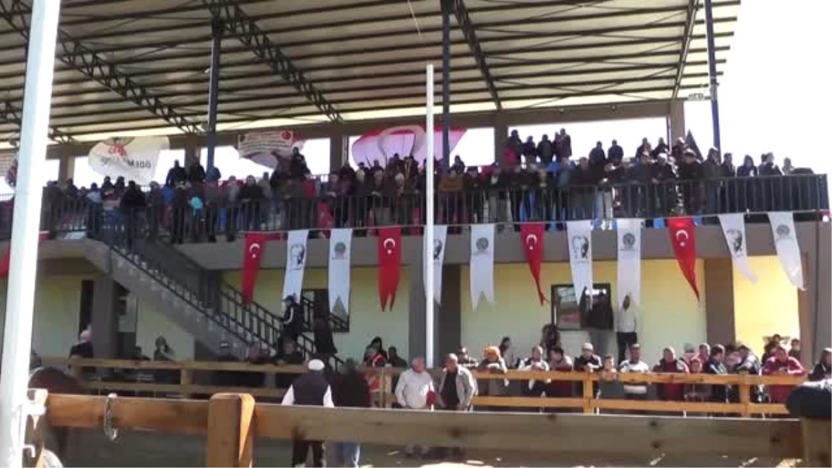 İzmir, Geleneksel Sporlar Yarış ve Oyun Alanına Kavuştu