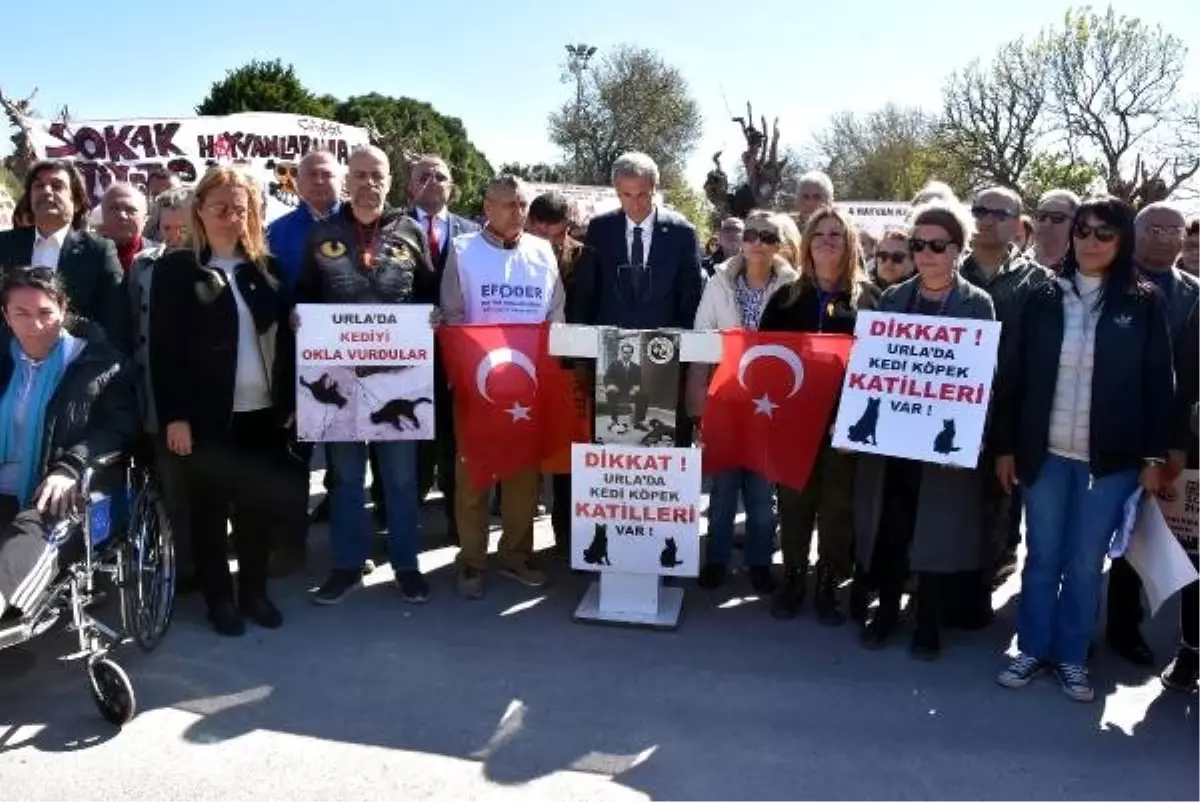 Sokak Hayvanlarının Telef Edildiği İddiasıyla Eylem Yaptılar