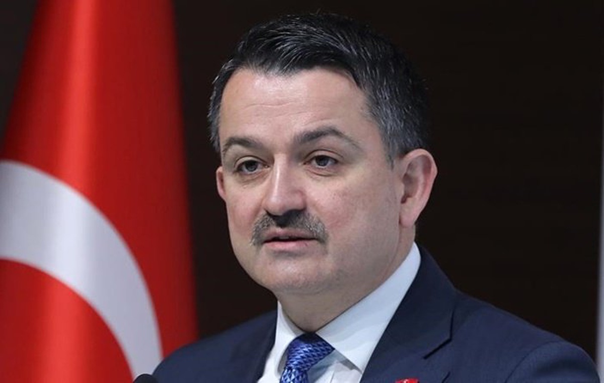 Türk ürünlerine "çatı marka" geliyor