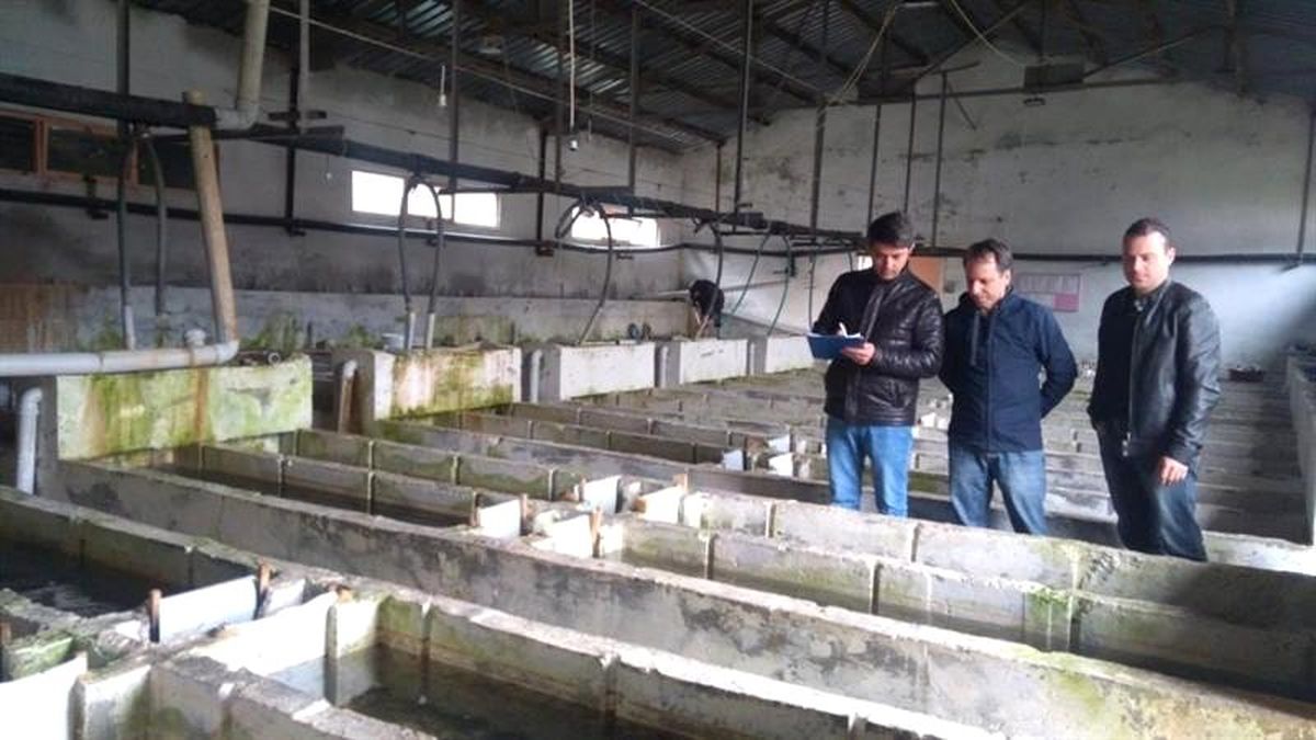 Alabalık Yetiştiriciliği Yapan Tesisler Denetlendi