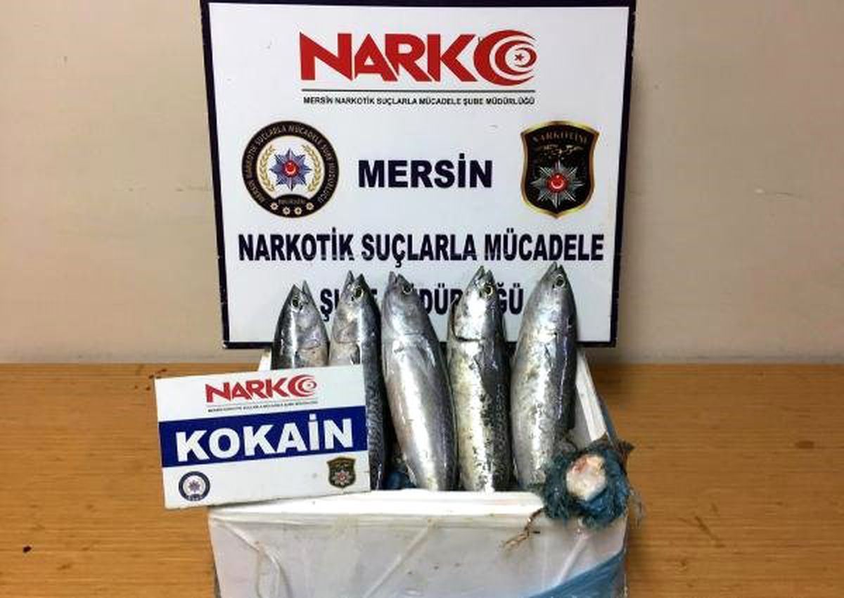 Balık Karnında Kokain Sevkiyatı