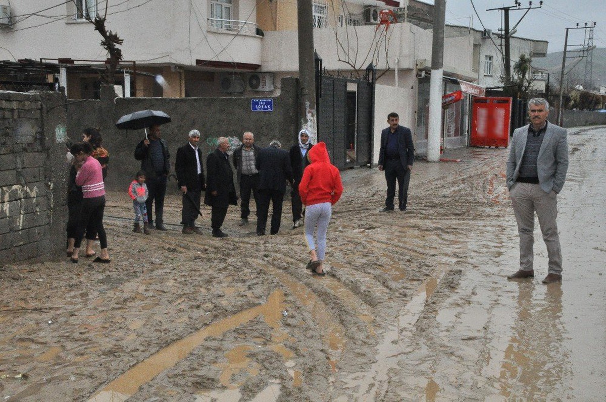 Cizre\'de Sel Felaketinin Bilançosu Ağır Oldu