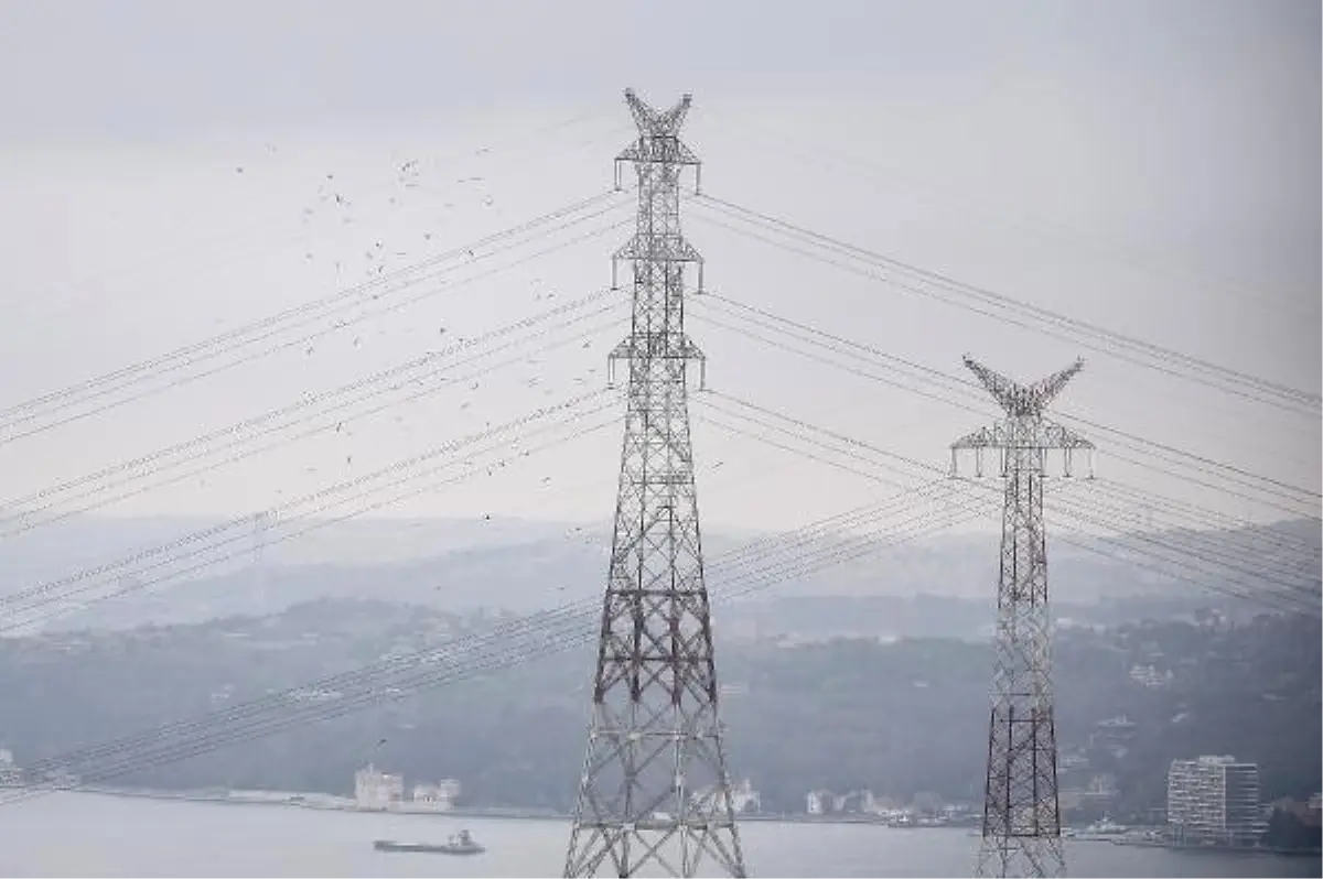 İstanbul Semalarında Leylek Şöleni