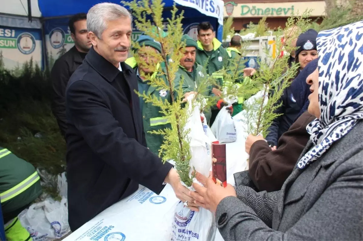 Şahinbey\'de 150 Bin Çam Fidanı Dağıtıldı