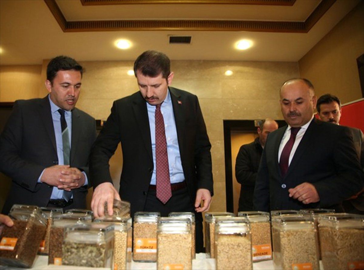 Sivas\'ta "Buğday Çalıştayı" Düzenlendi