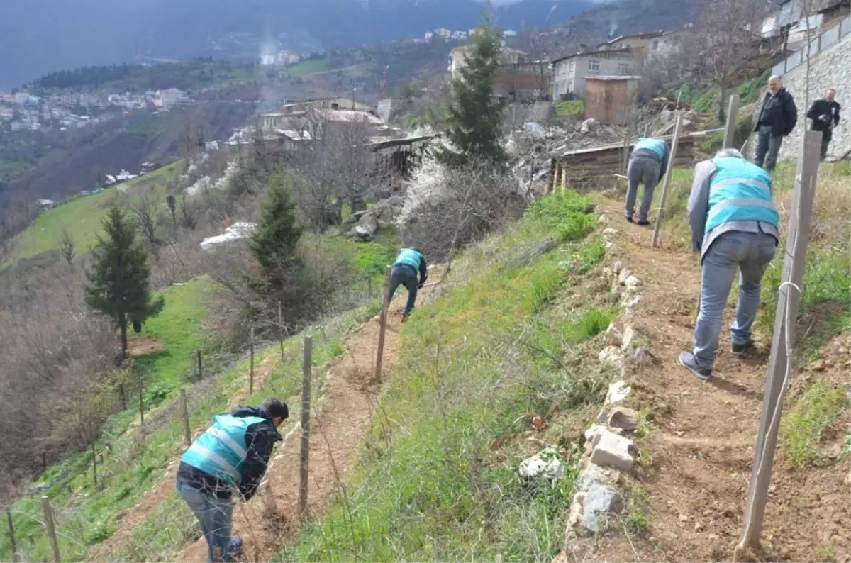 Artvin\'de Yükümlülerden Fidan Dikim ve Bakım Çalışması