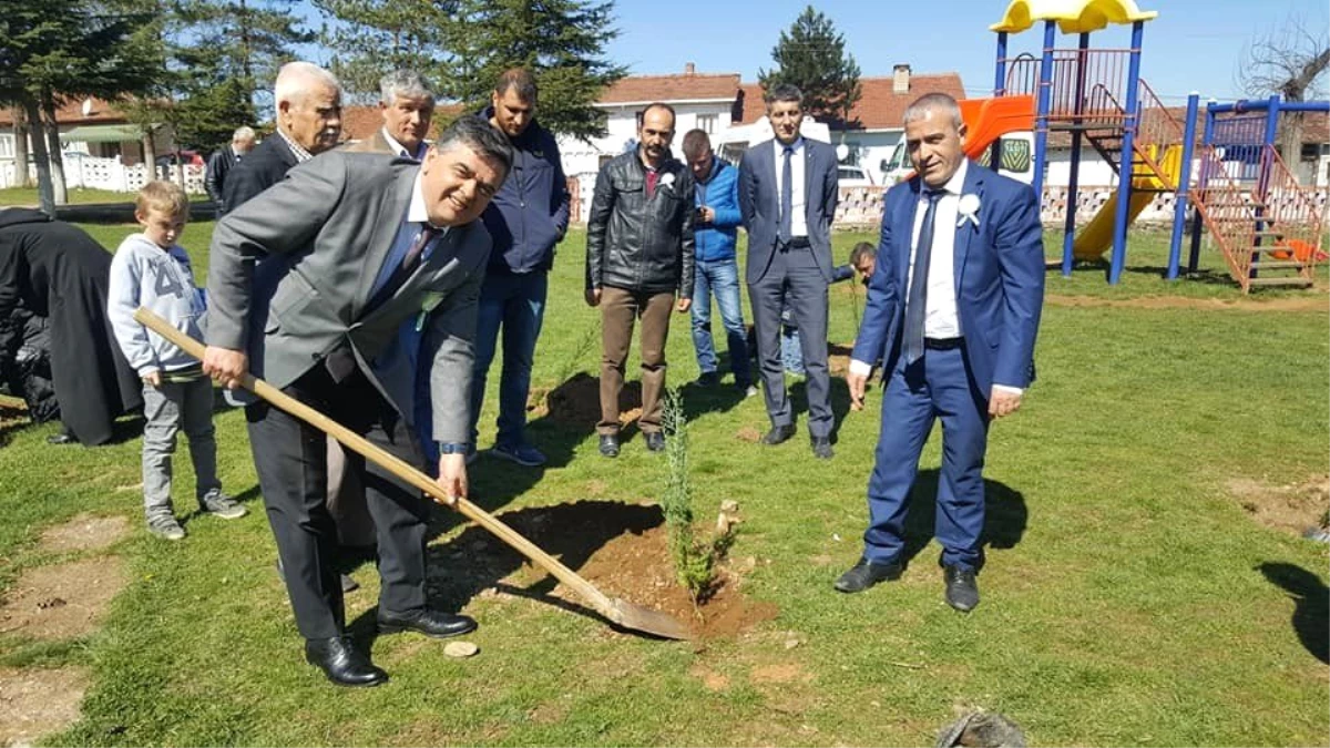 Başkan Yalçın, Orman Haftası Programına Katıldı