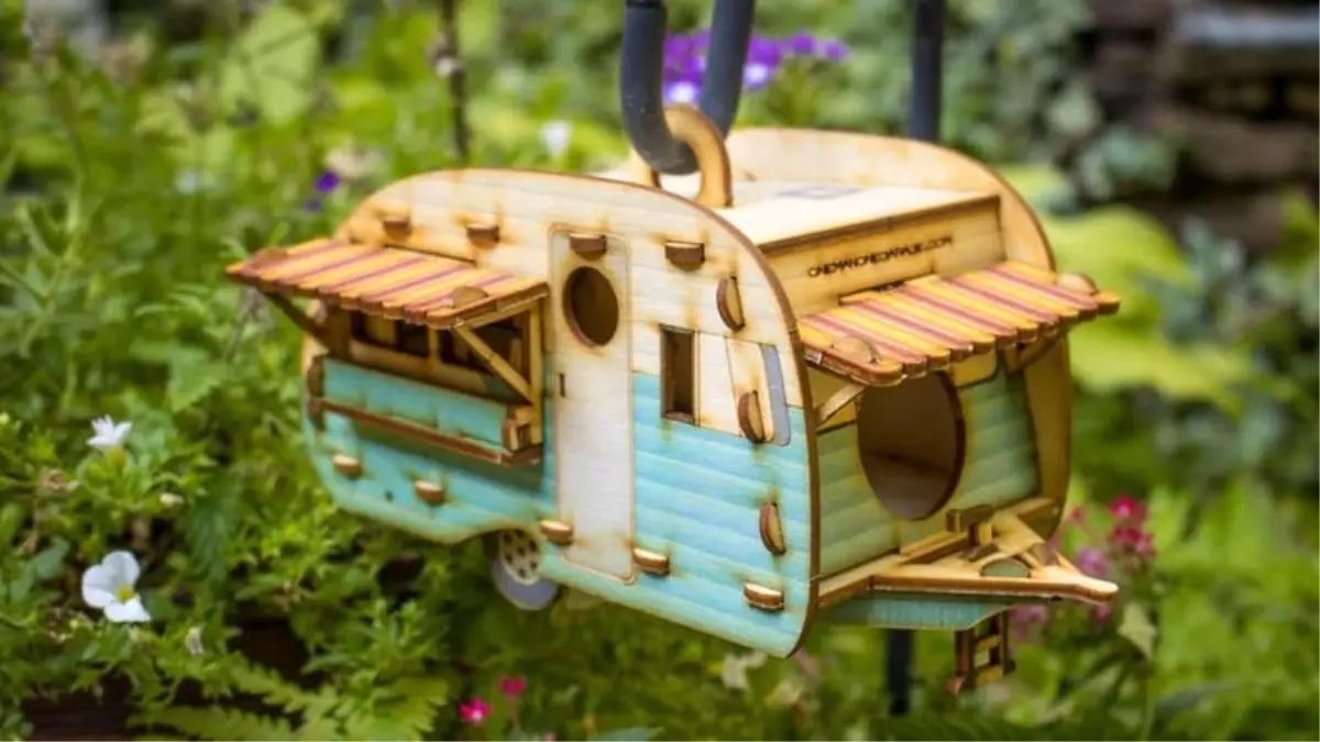 Bir Araştırmaya Göre Kuş Besleyen İnsanlar Daha Korumacı Hale Geliyor