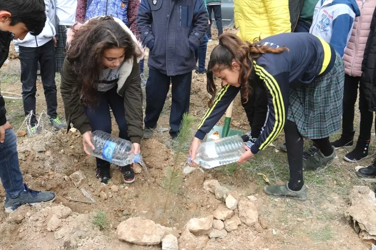 Her Şehit Anısına Bir Fidan Diktiler