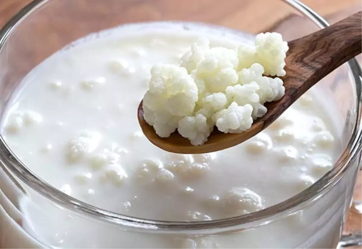 Kefir Pazarı Büyüyor: 18 Bin Litre Kefir İçtik!