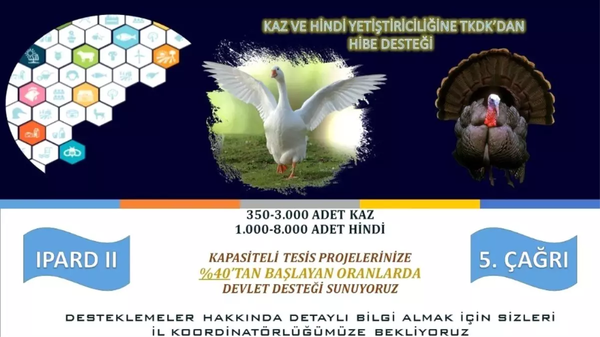 Muş\'ta Kanatlı Hayvan Yetiştiriciliğine Devlet Desteği