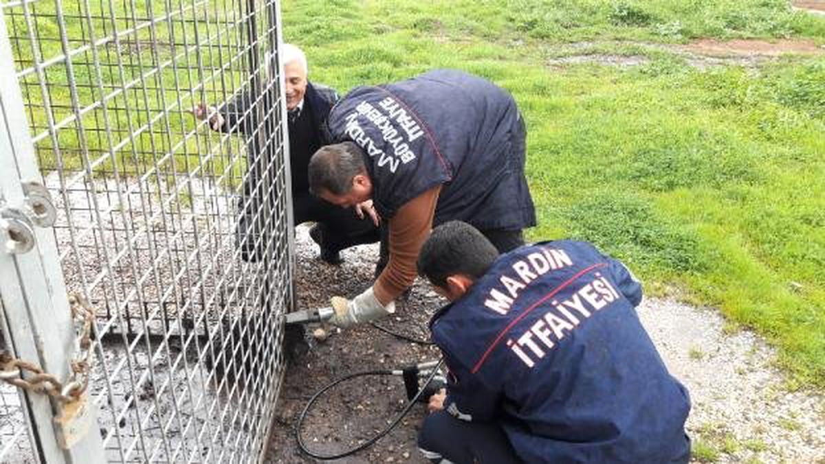 Nusaybin\'de Başı Korkuluklara Sıkışan Köpek Kurtarıldı