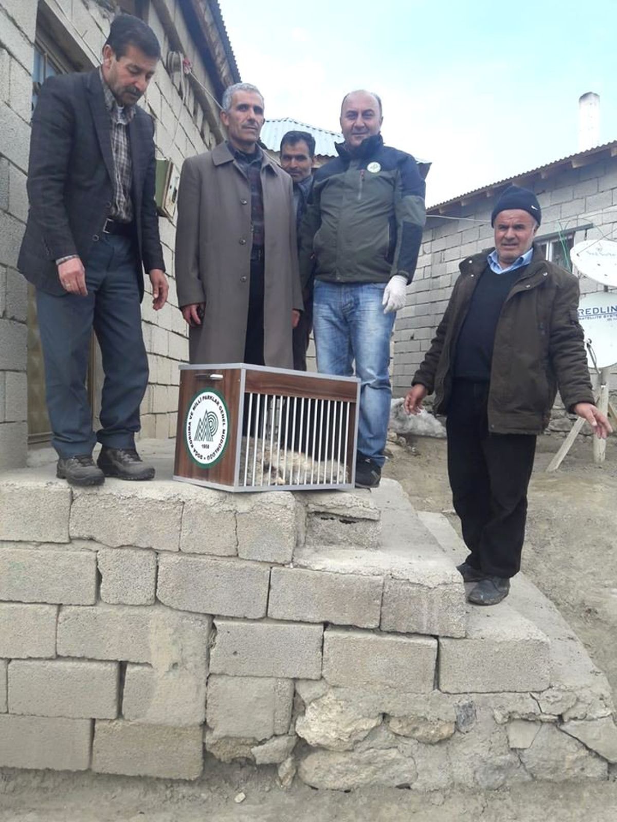 Yaralı Tilki Tedavi Altına Alındı