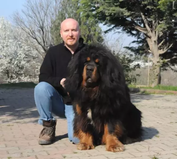 Yetiştirdiği Köpekler 150 Bin Liraya Kadar Alıcı Buluyor Son Dakika