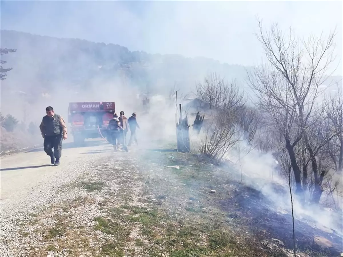 Bolu\'da Orman Yangını