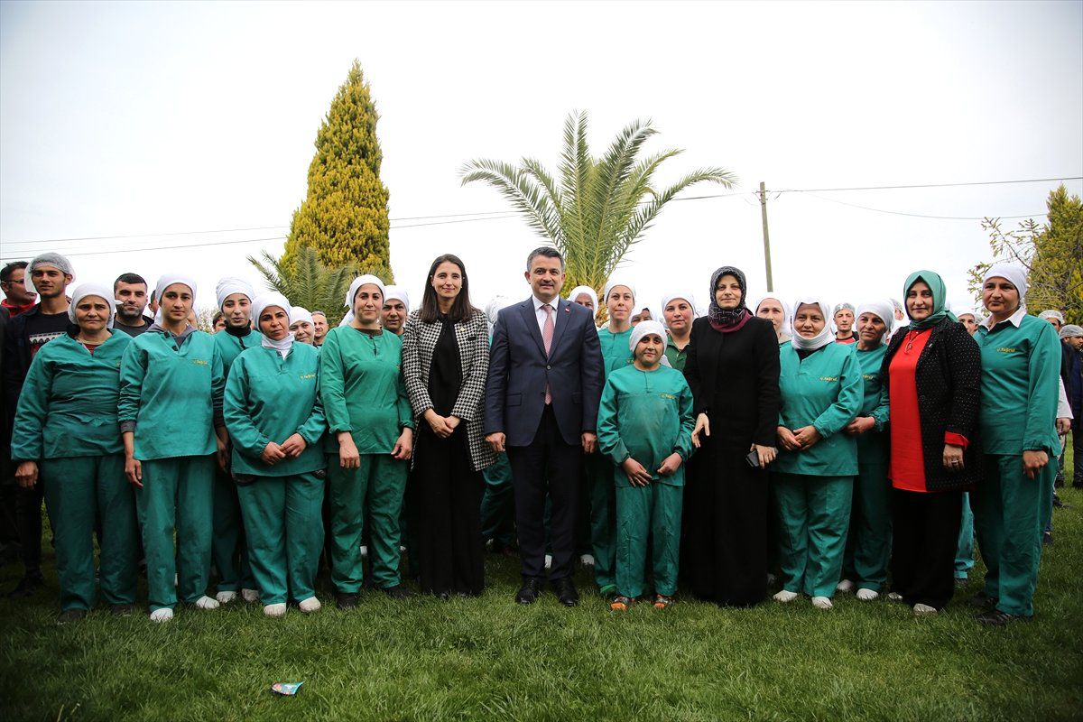 Elektrikli Traktör Prototiplerimiz Seri Üretime Hazır"