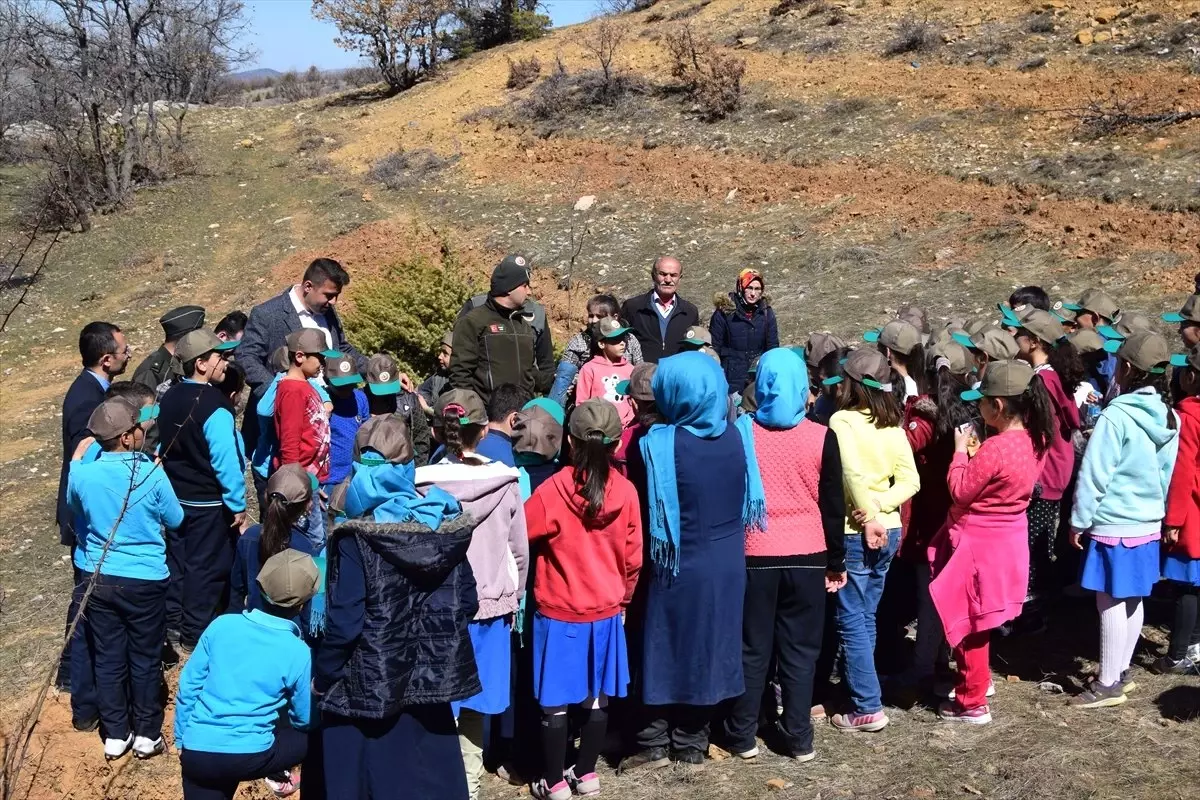 Hadim\'de Öğrenciler 500 Badem Fidanı Dikti