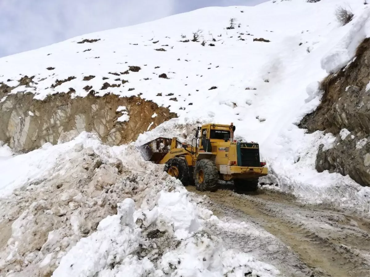 Hakkari\'de Karla Mücadele Çalışması