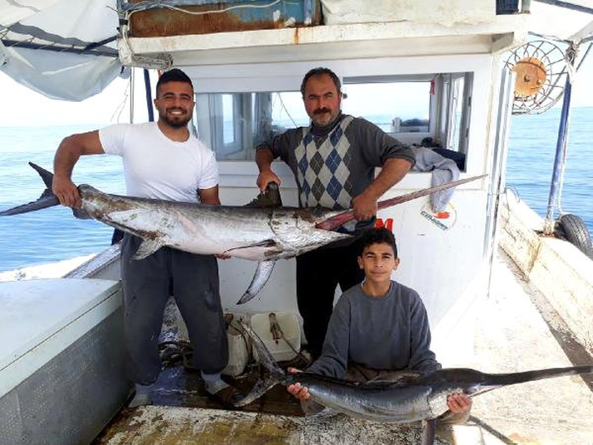 Adanalı Balıkçılar, 2 Metrelik Kılıç Balığı Yakaladı
