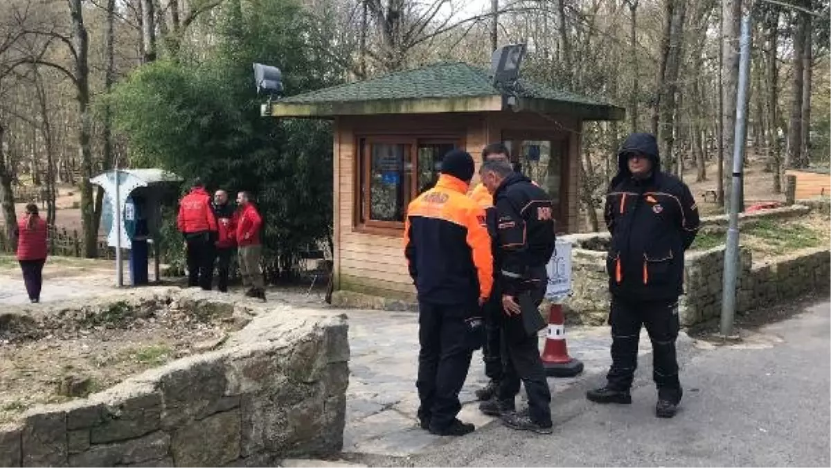 Boğaziçi Üniversiteli Arda, Belgrad Ormanında Aranıyor (1)