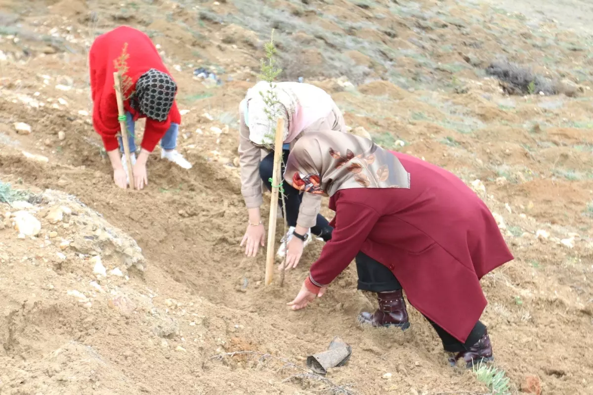 Cumhuriyet Kız Anadolu Lisesi Öğrencilerinden Anlamlı Etkinlik