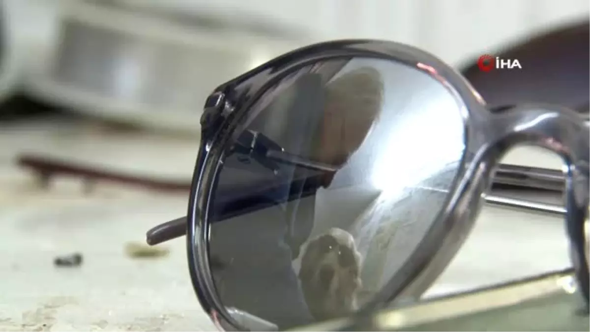 İzmir Gevreği Sevdalısı Köpek \'Daisy\'...her Gün Gevrekçiye Gidip Karnını Doyuruyor