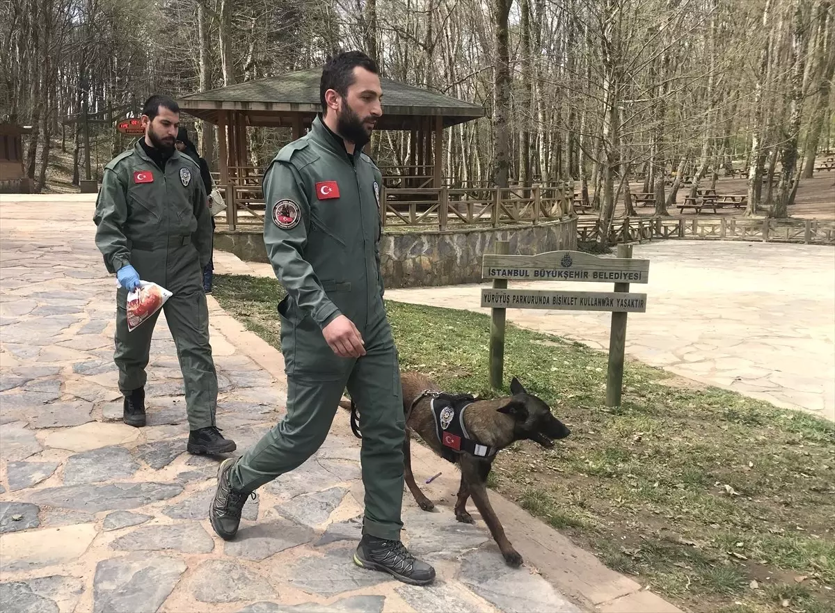 Kayıp Üniversite Öğrencisi Belgrad Ormanı\'nda Aranıyor