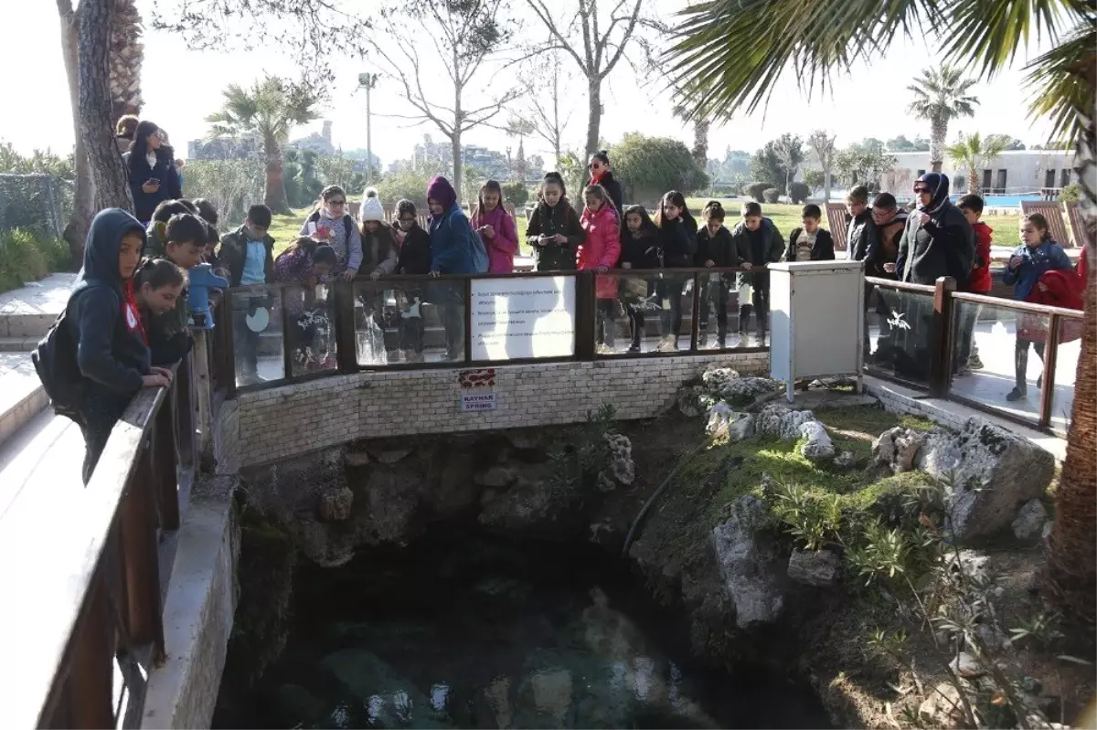 Pamukkale\'de Binlerce Öğrenci Tarihini Tanıdı