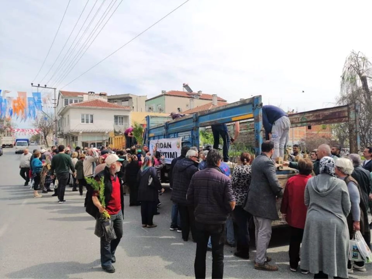 Pehlivanköy\'de Fidan Dağıtımı