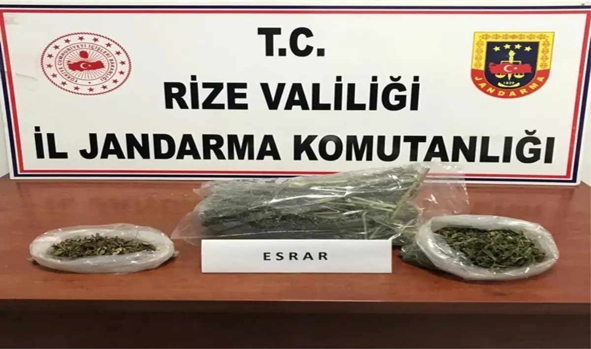 Rize\'de Jandarmadan Operasyon