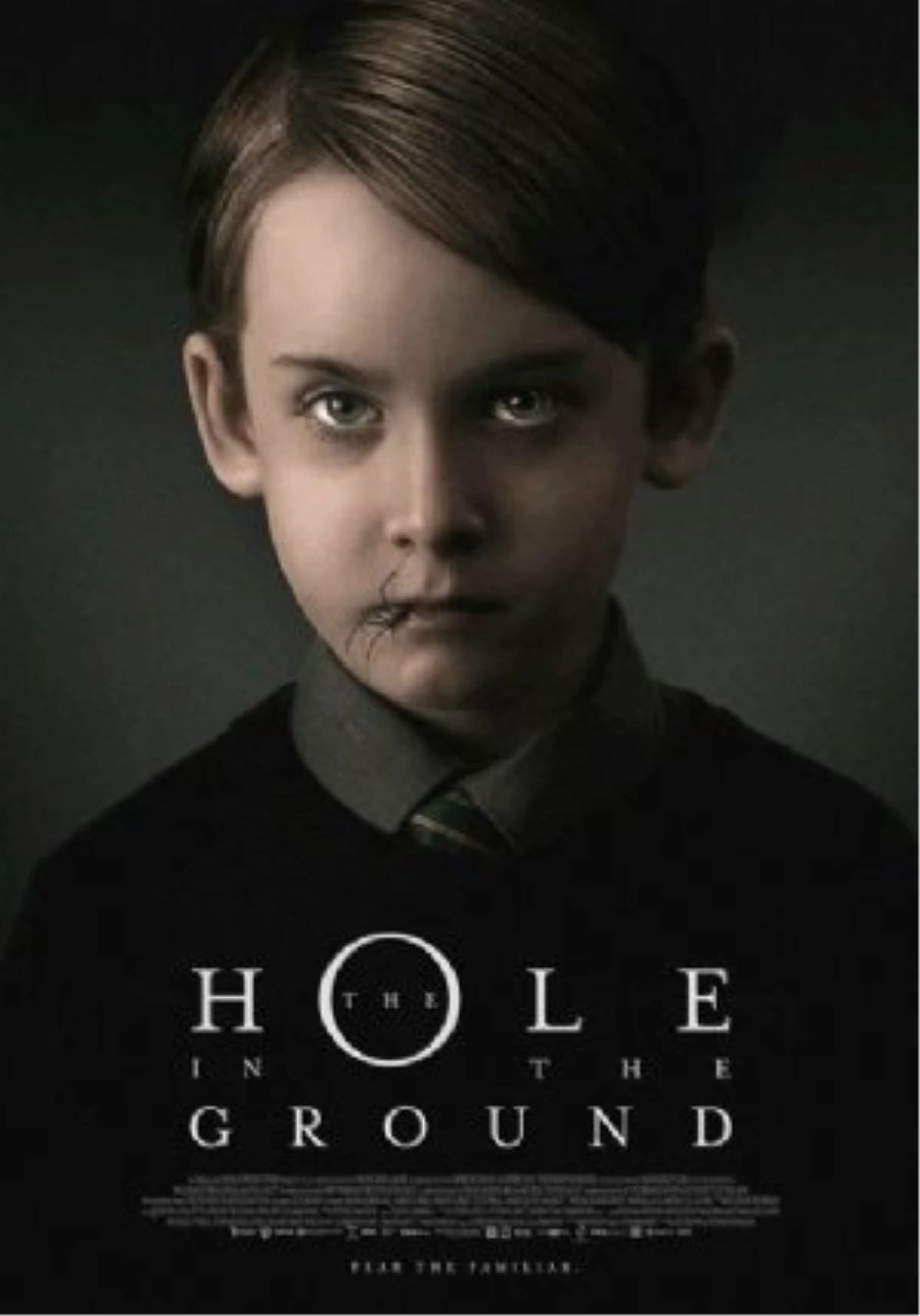 The Hole İn The Ground Filmi