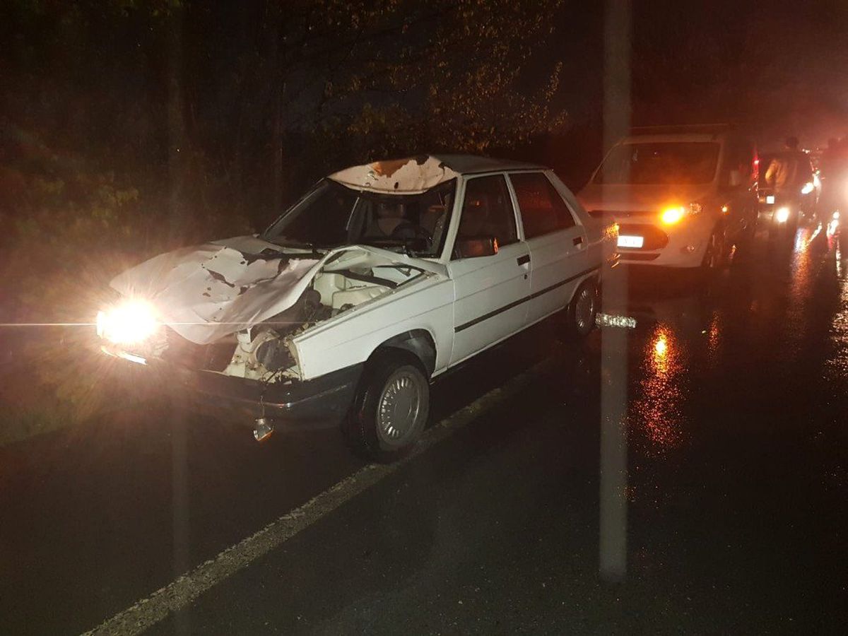 Başıboş At Kazaya Neden Oldu: 3 Yaralı