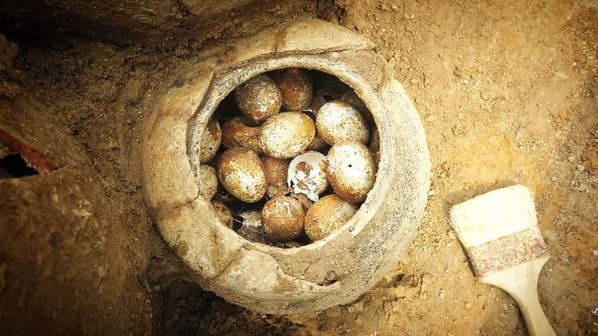 Çin\'de Bir Mezarda 2500 Yıllık Kırılmamış Yumurtalar Bulundu